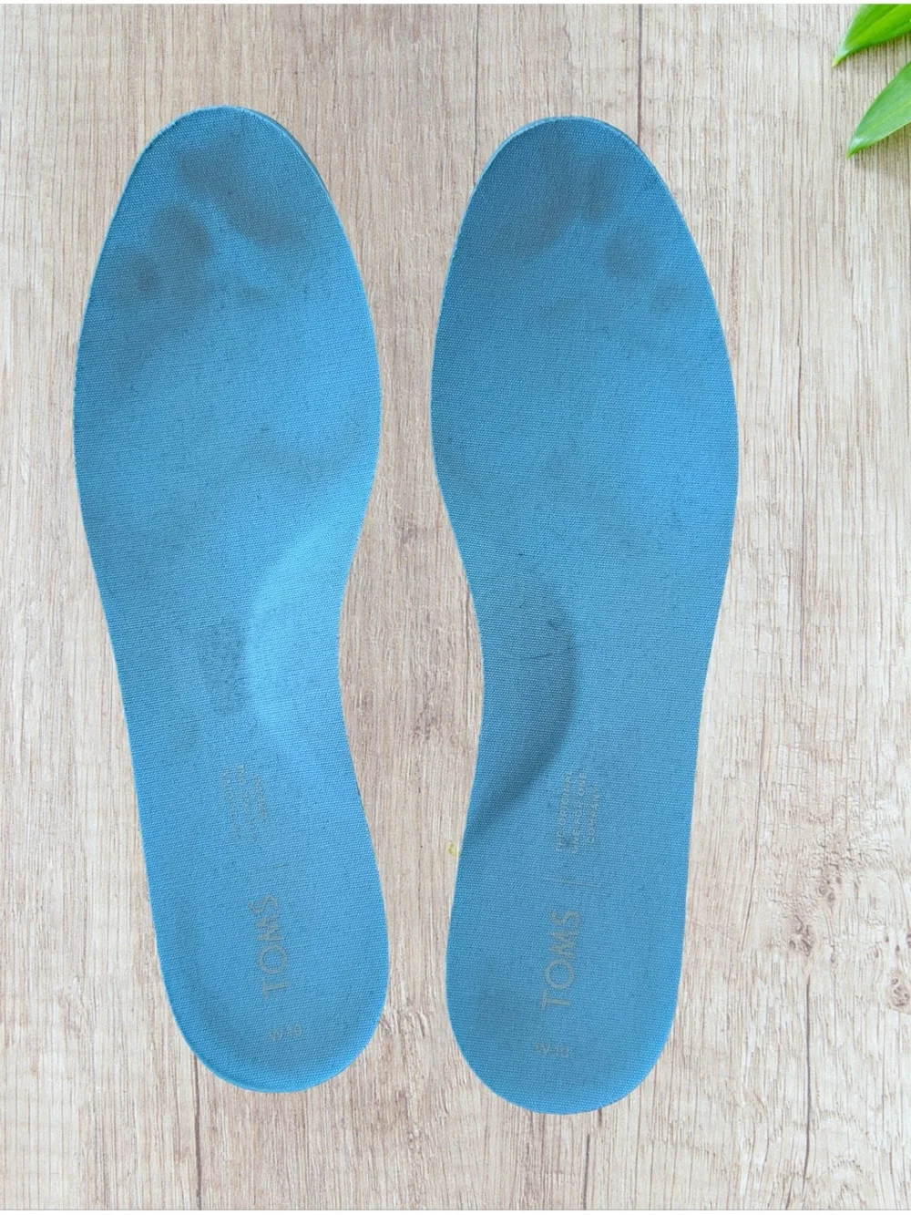 TOMS Tropical Fruit Print Alpargata Slip-On Shoes Women’s 10 EU 42